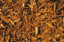 Gold Colored Mulch